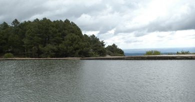 Pantano de Las Albercas